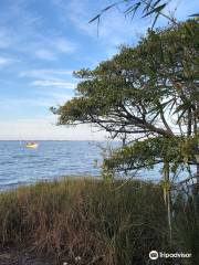 Ilha dos Marinheiros