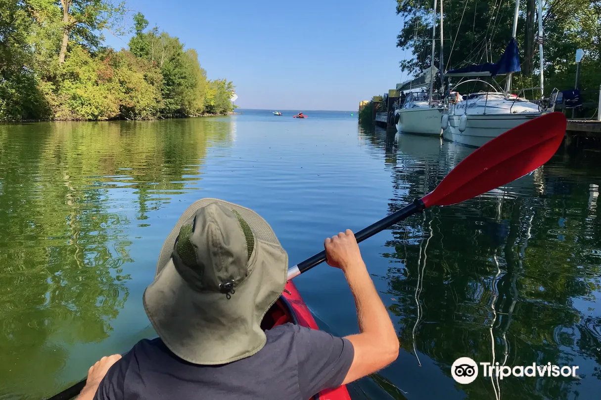 5_Mueritz-Nationalpark (Mueritz National Park)