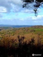 Hindhead Commons and the Devil's Punch Bowl