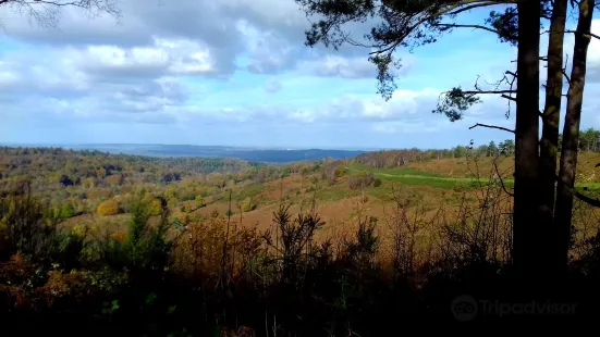 Hindhead Commons and the Devil's Punch Bowl