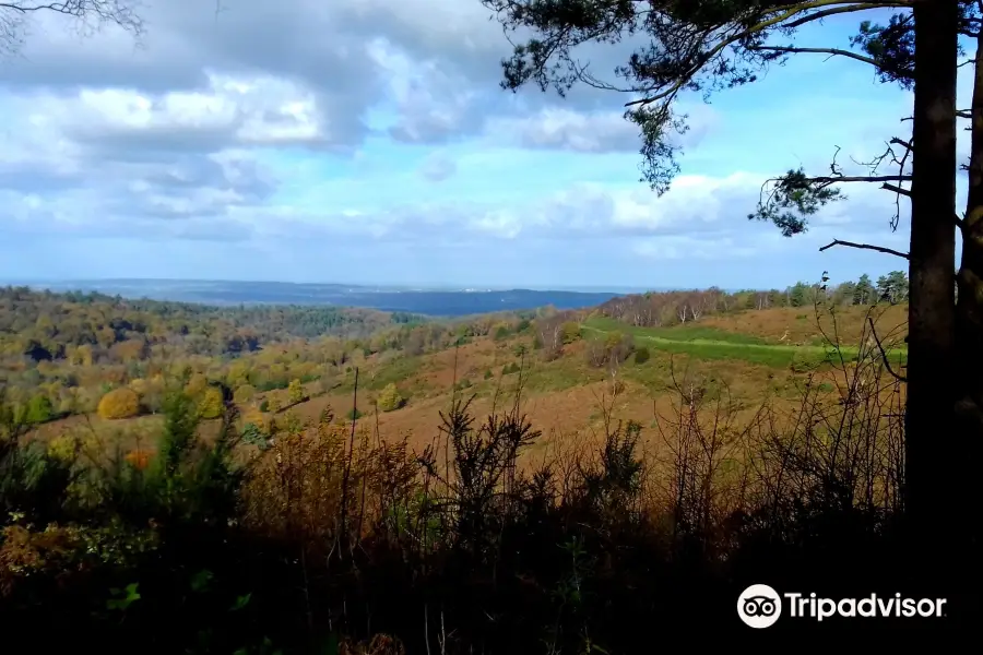 National Trust - Hindhead Commons and the Devil's Punch Bowl Cafe