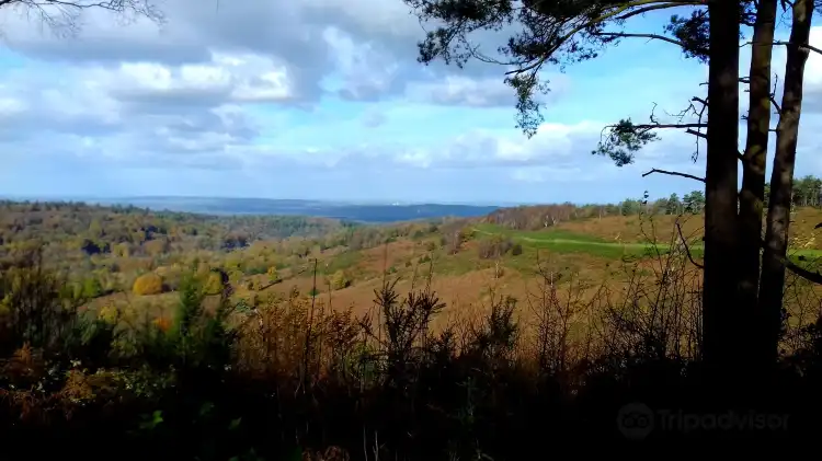 Hindhead