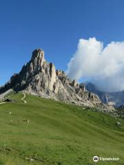 Guide Alpine Cortina Day Hikes