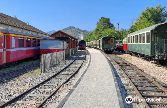 羅訥河畔圖爾農