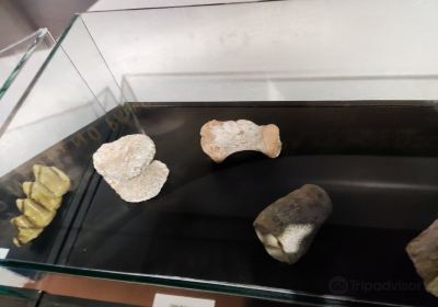 Casa Dom Aquino PreHistory Museum