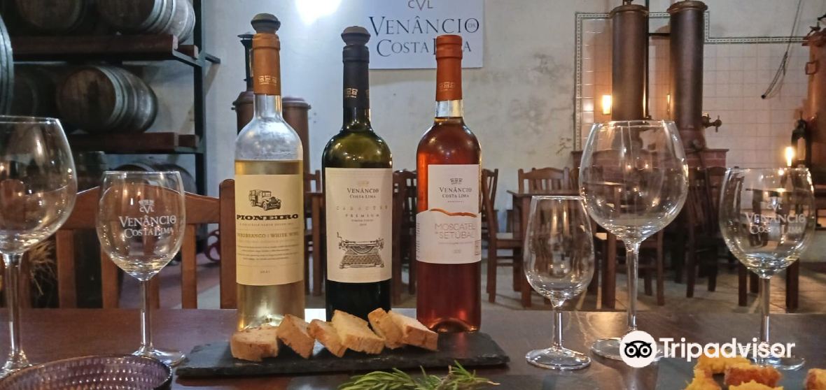 Quinta Do Anjo 2024 인기 명소 Quinta Do Anjo 트립 가이드 Quinta Do Anjo 인기