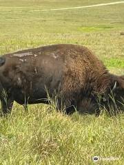 Tallgrass Prairie National Preserve