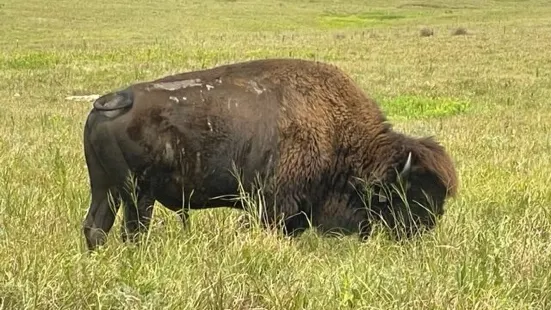 Tallgrass Prairie National Preserve