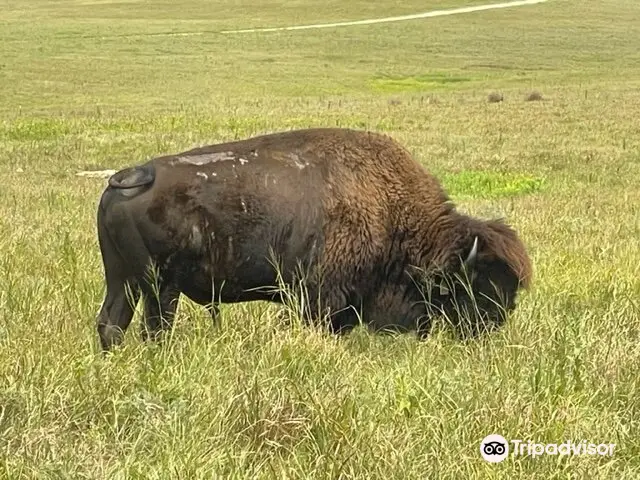 Tallgrass Prairie National Preserve