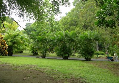 Jardín botánico de Dominica