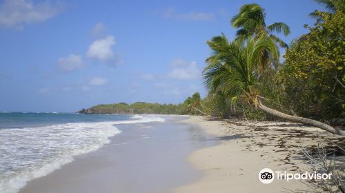 Plage des Salines