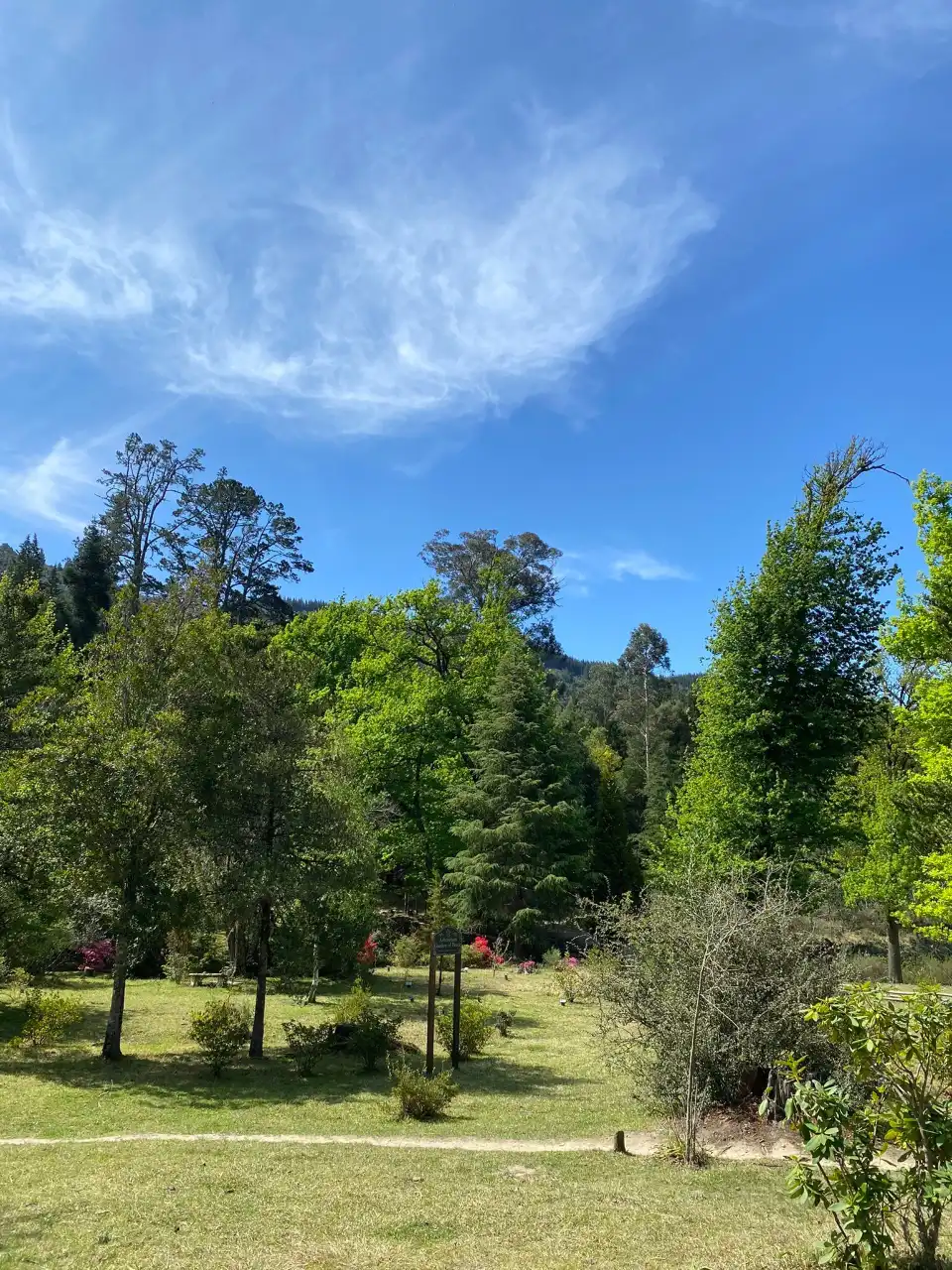 3_Arboretum Hogsback