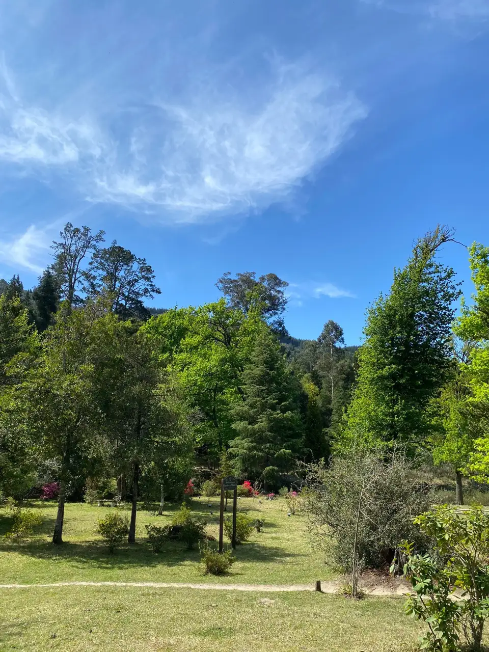 3_Arboretum Hogsback