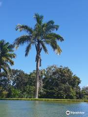 Le Jardin d'Eau de Blonzac