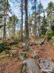 Norra Kvill National Park