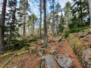 Norra Kvill National Park