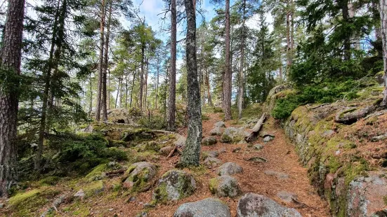 Norra Kvill National Park