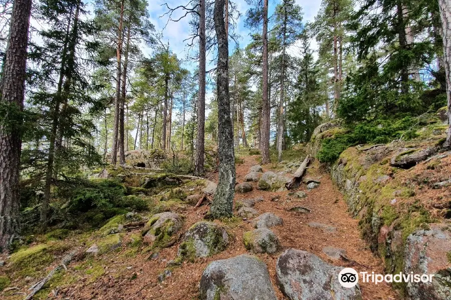 Norra Kvill National Park