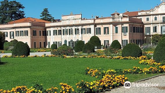 Varese