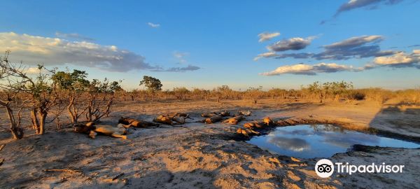 Gaborone to Maun flight