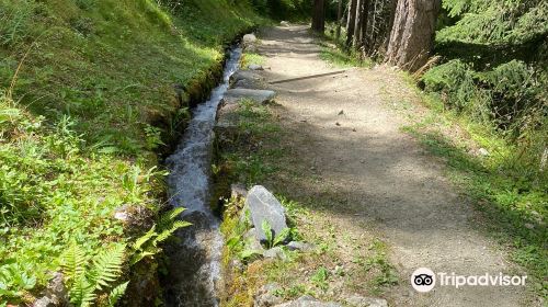 Bisse des Ravines