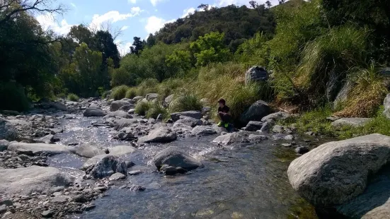 Arroyo Piedras Blancas