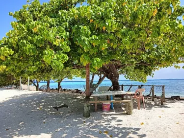 Gulhi