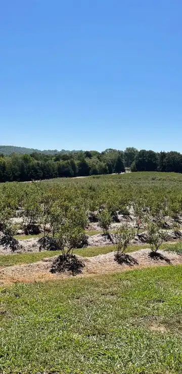 Hotels in Stone County