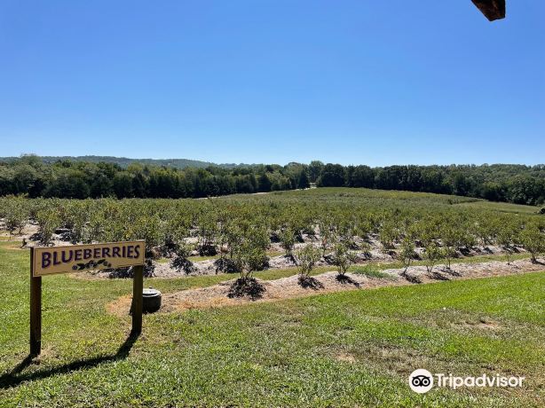 Persimmon Hill Farm
