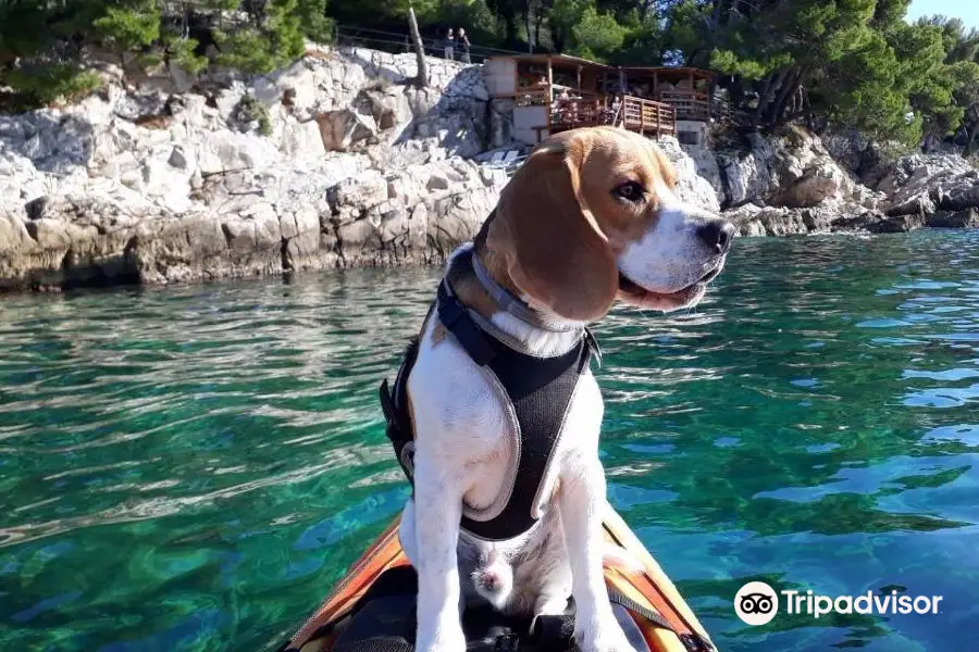 Sea Kayaking Cavtat