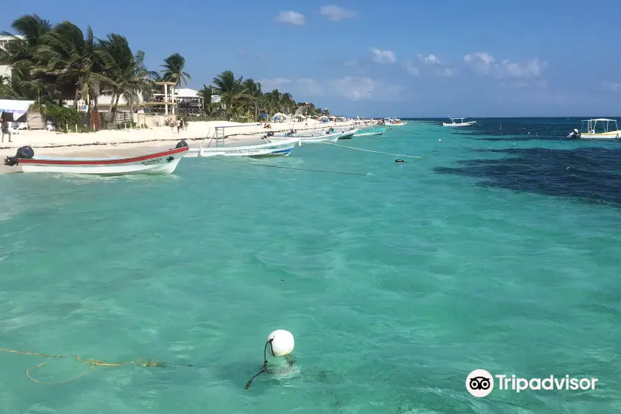 Puerto Morelos Charters