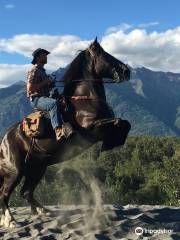 Alaska Horse Adventures, LLC