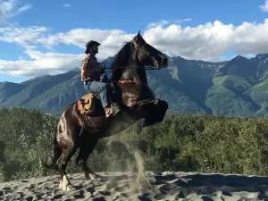 Alaska Horse Adventures, LLC