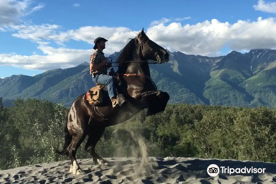 Alaska Horse Adventures, LLC