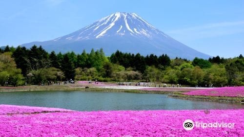 Ryujin Pond