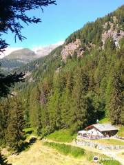 Champoluc Adventure Park