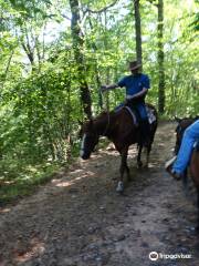 Pisgah Forest Riding Stables