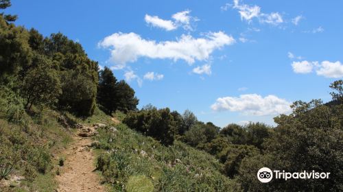 Sierra De Las Nieves