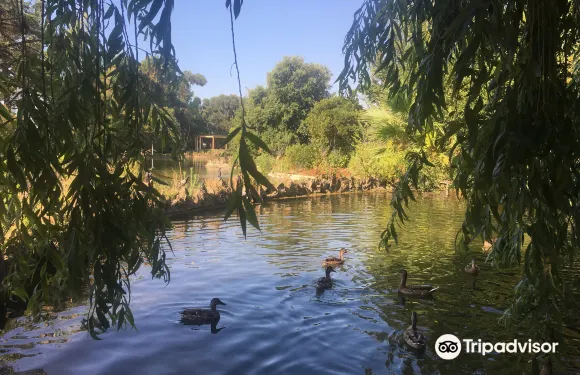 桑特比森克·德蒙塔