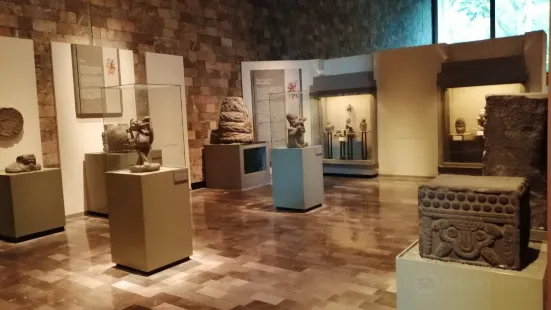 Museum of Anthropology and History