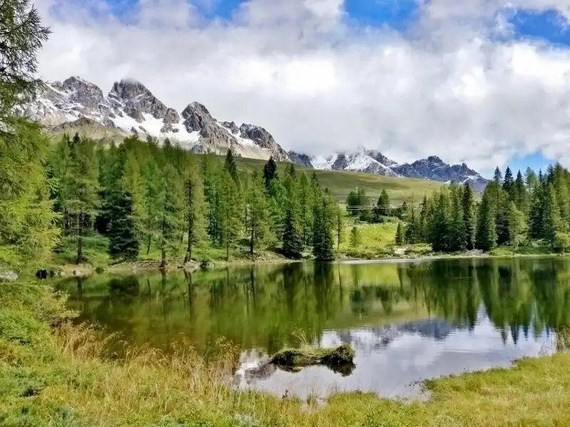 Hotels near CONSORTIUM ALPE LUSIA / SAN PELLEGRINO