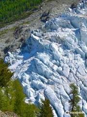 Glacier des Bossons