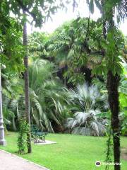 Arboretum of Arco - Former Archduke Park