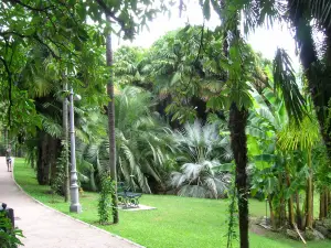 Arboretum of Arco - Former Archduke Park