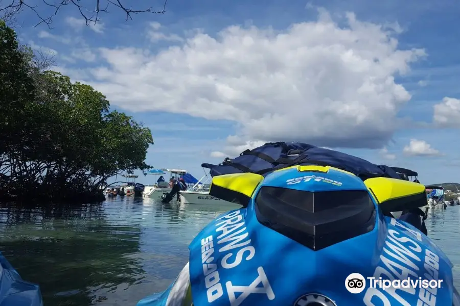 Puerto Rico Adventure Water Sports