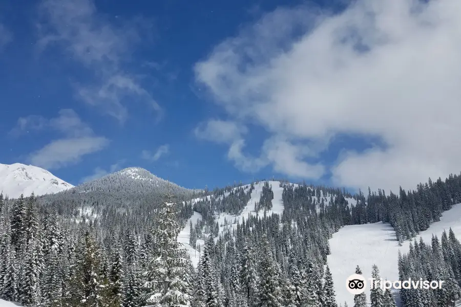 Mount Shasta Board & Ski Park