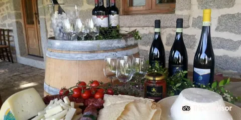 Piero Mancini Vineyards （Balajana Estate）