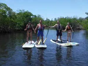 Paddleboard Connection