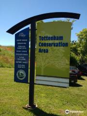 Tottenham Conservation Area