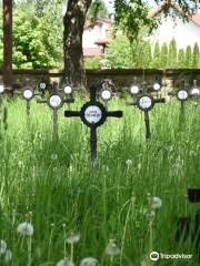 World War I Cemetery no 71